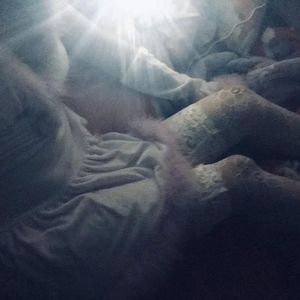 免费看AAAAAAAAAAAA片
